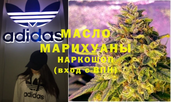 сатива Бородино