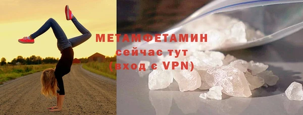 сатива Бородино