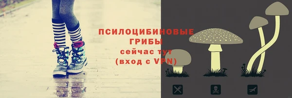 сатива Бородино
