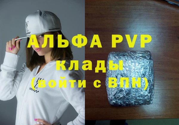 сатива Бородино