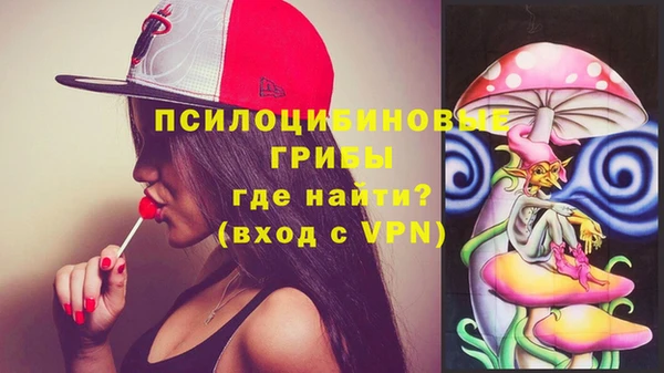 прущие крисы Богданович