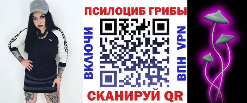 hydra сайт  Волосово  Галлюциногенные грибы мицелий  что такое  